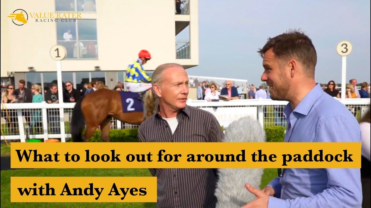 How to PICK WINNERS around the paddock