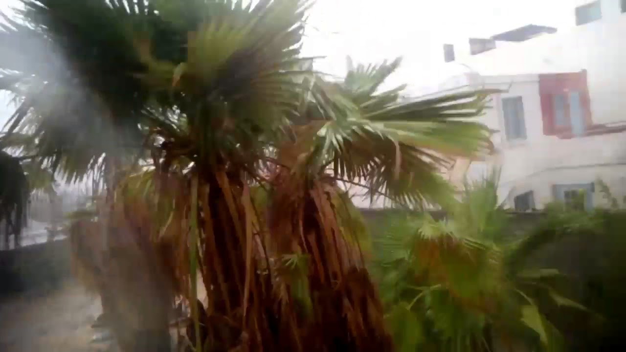 Tormenta Tropical Lidia en los Cabos
