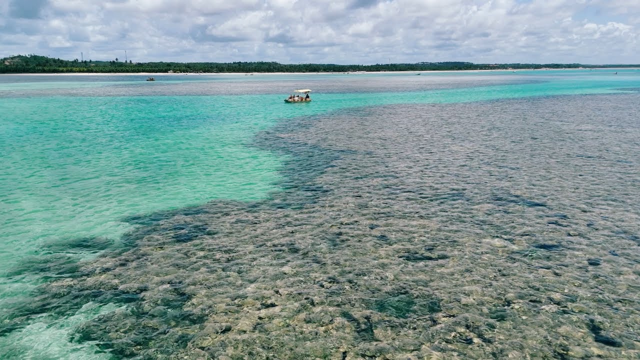Destinos - Praia do Patacho, Alagoas