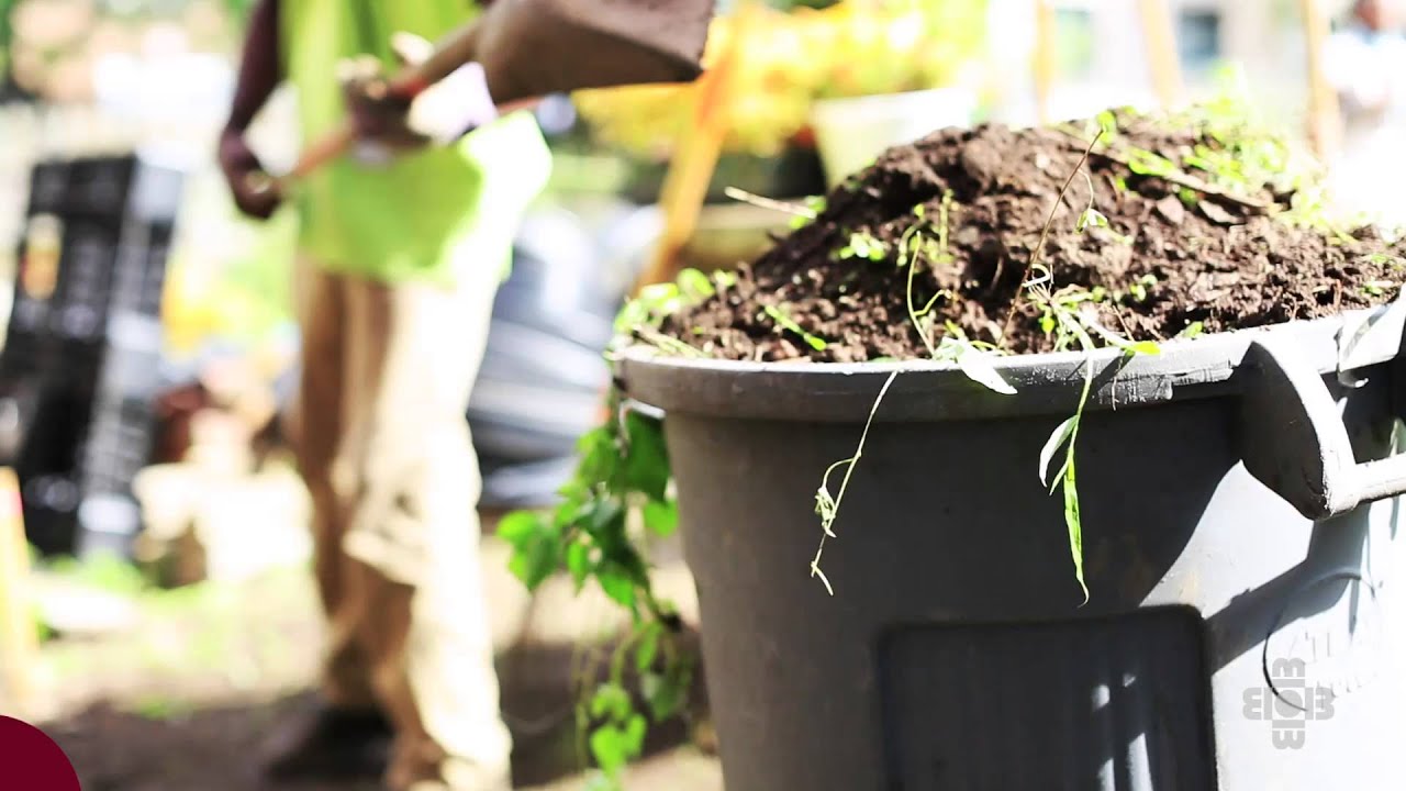 Horticulture Technology Major at Bidwell Training Center