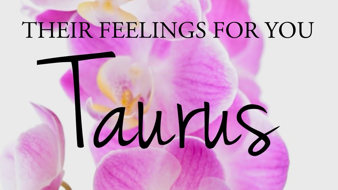 TAURUS love tarot ♉️ Someone Who Wants To Be With You No Matter What 🩷 You Should Listen To This