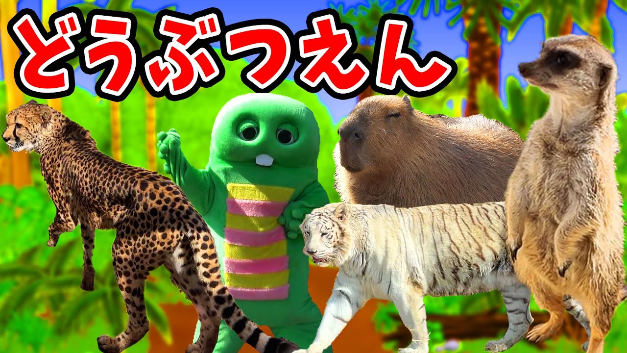 サファリパークを歩いたら動物たくさん発見したよ!!【どうぶつえん(動物園)】【トラ】【ホワイトタイガー】【ヒョウ】【チーター】【ミーアキャット】【カピバラ】【シカ】【群馬サファリパーク】