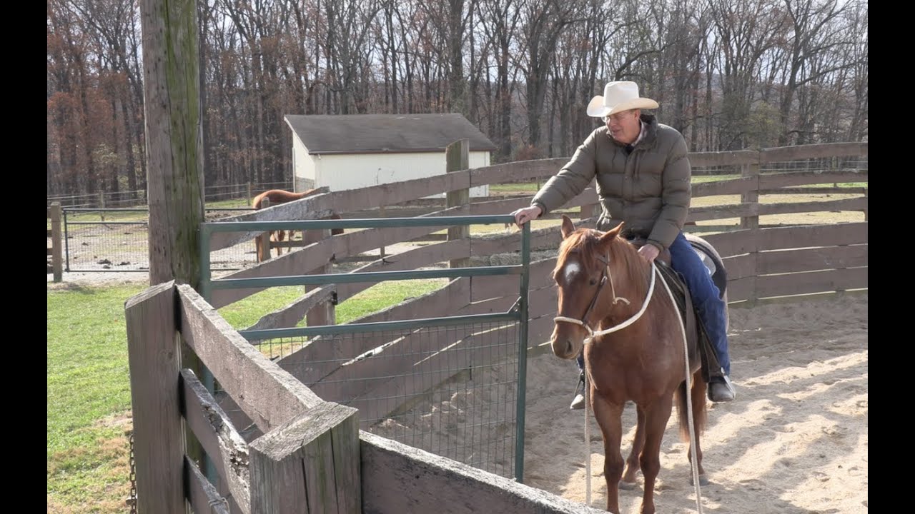 How to Open a Gate on a Young Horse (And Why) - Episode 84 - Herm Gailey