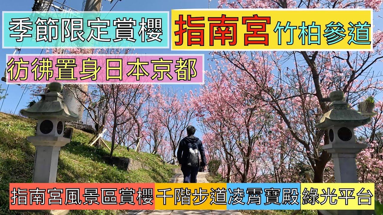 搭捷運賞櫻趣 指南宮風景區櫻花盛開了! ep210『指南宮竹柏參道,讓你彷彿置身日本京都,沿途都是石燈籠,莊嚴的指南宮,凌霄寶殿,展望很棒,指南宮風景區滿山的櫻花林等你來欣賞!』