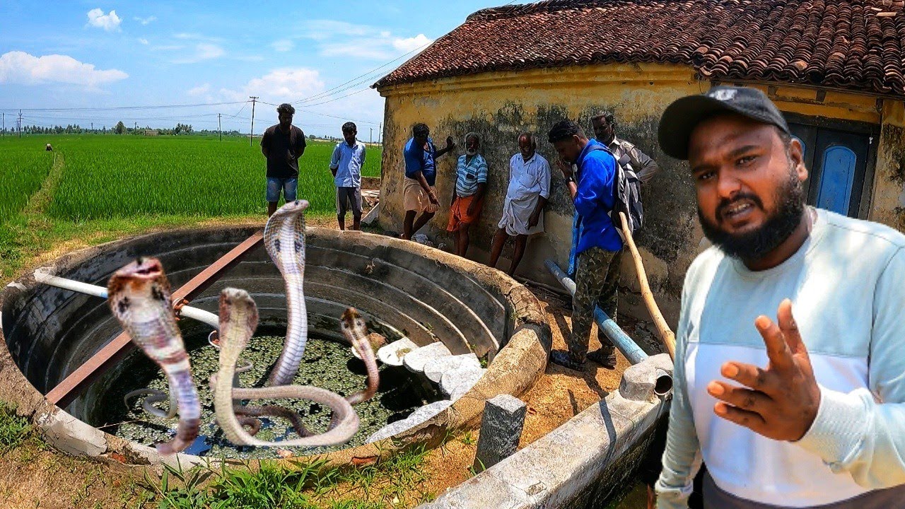 பாம்பு கிணறு Dangerous Rescue