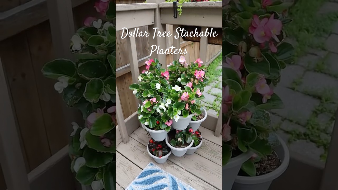 DIY Dollar Tree Stackable Planters &ldquo;Budget-Friendly Garden Idea&rdquo; 🌿🌸