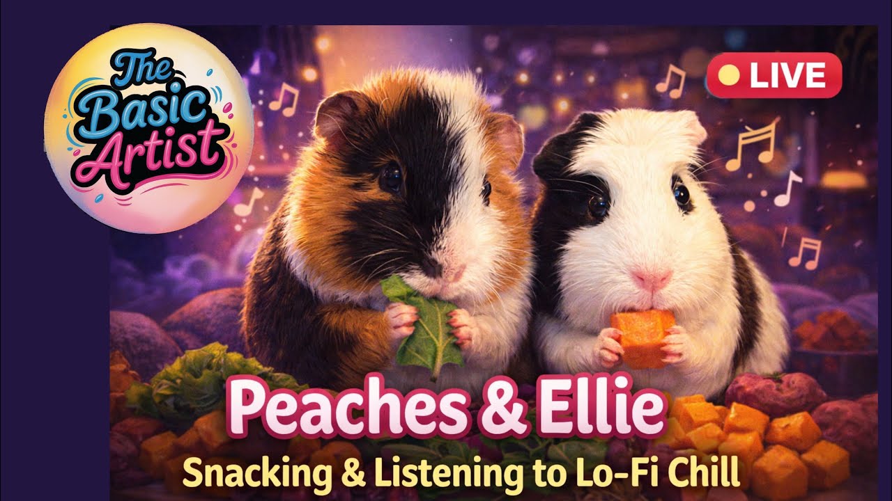 LIVE 🐹 Peaches & Ellie Snack Time  Part 2 | Lo-Fi Chill  | The Basic Artist
