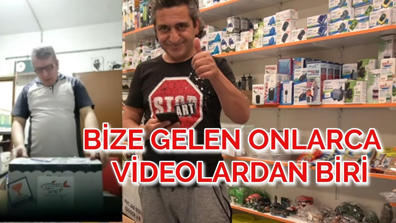 AKVARYUM KUTU AÇILIMI, akvaryum balıkları