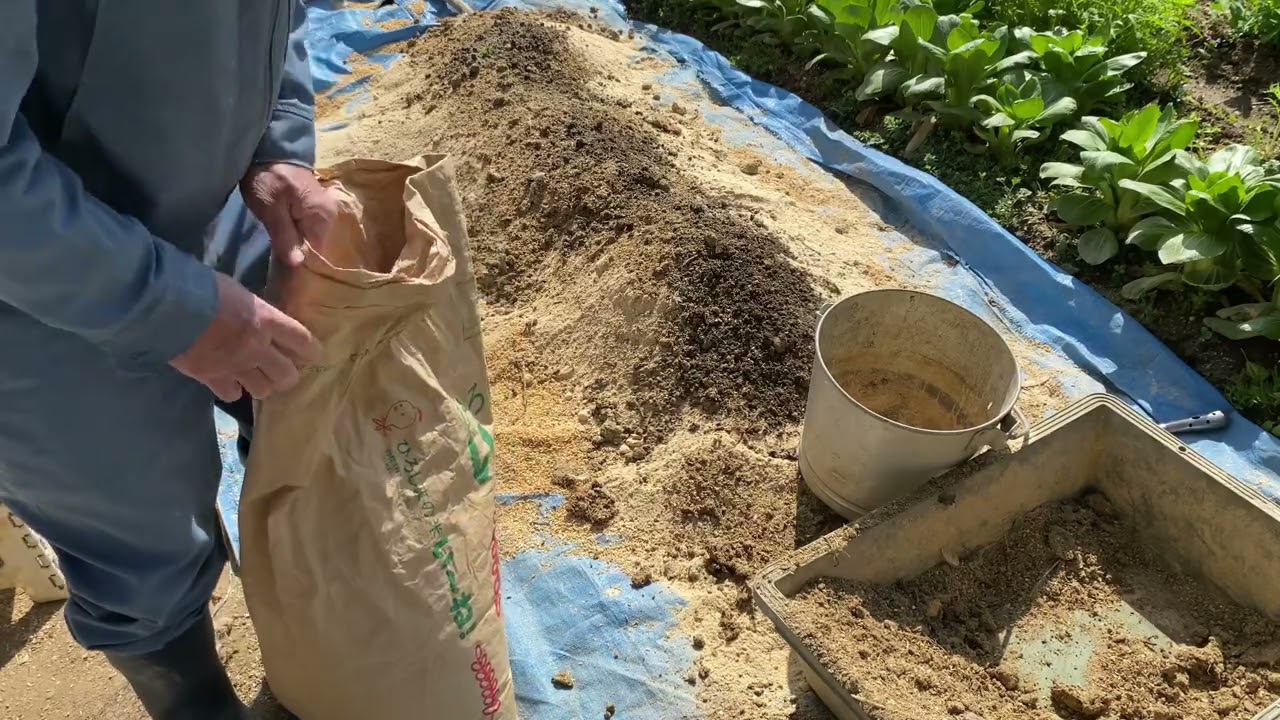 ボカシ肥料　
