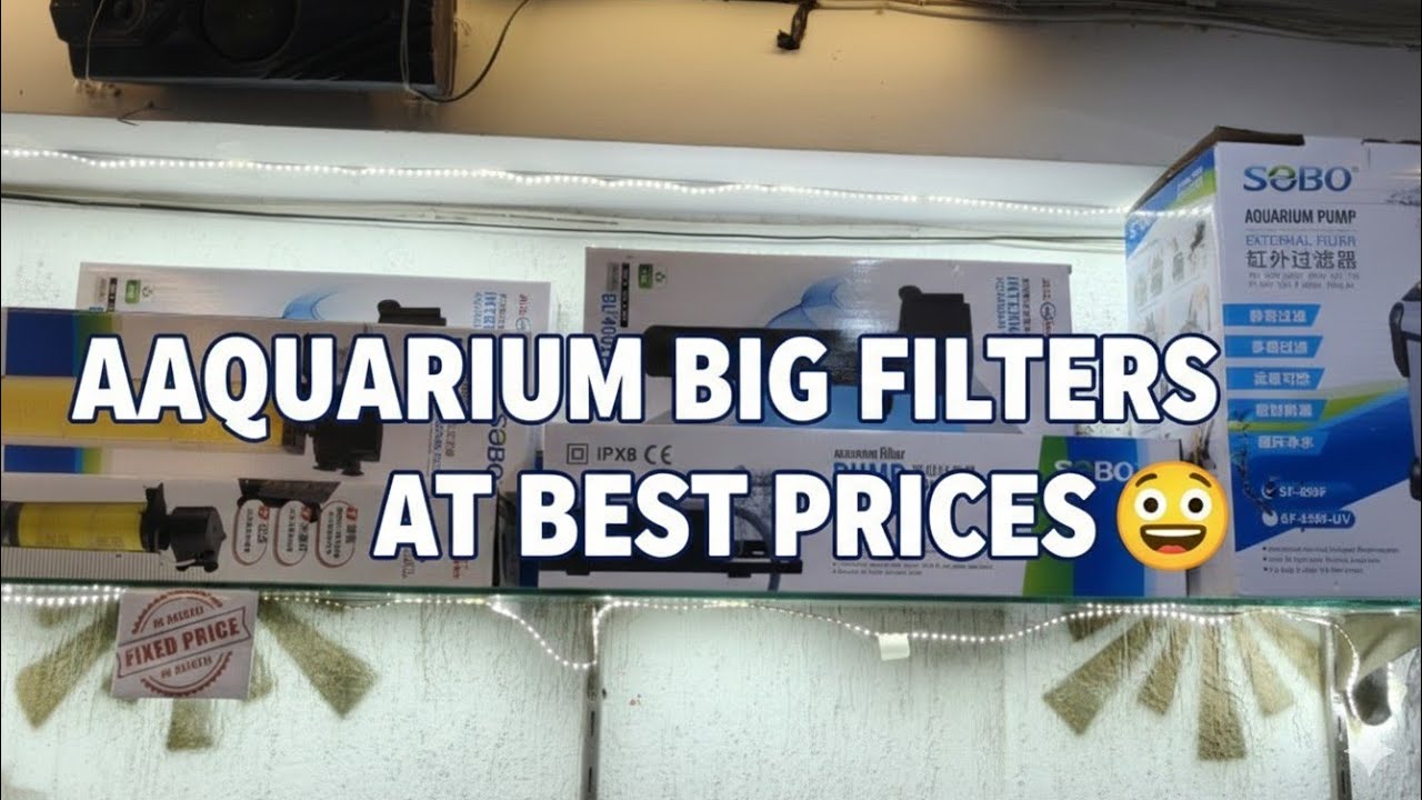BEST PRICES 🐠AQUARIUM  BIG FILTER😲 AT LAJPAT NAGAR 1| OFFER😎