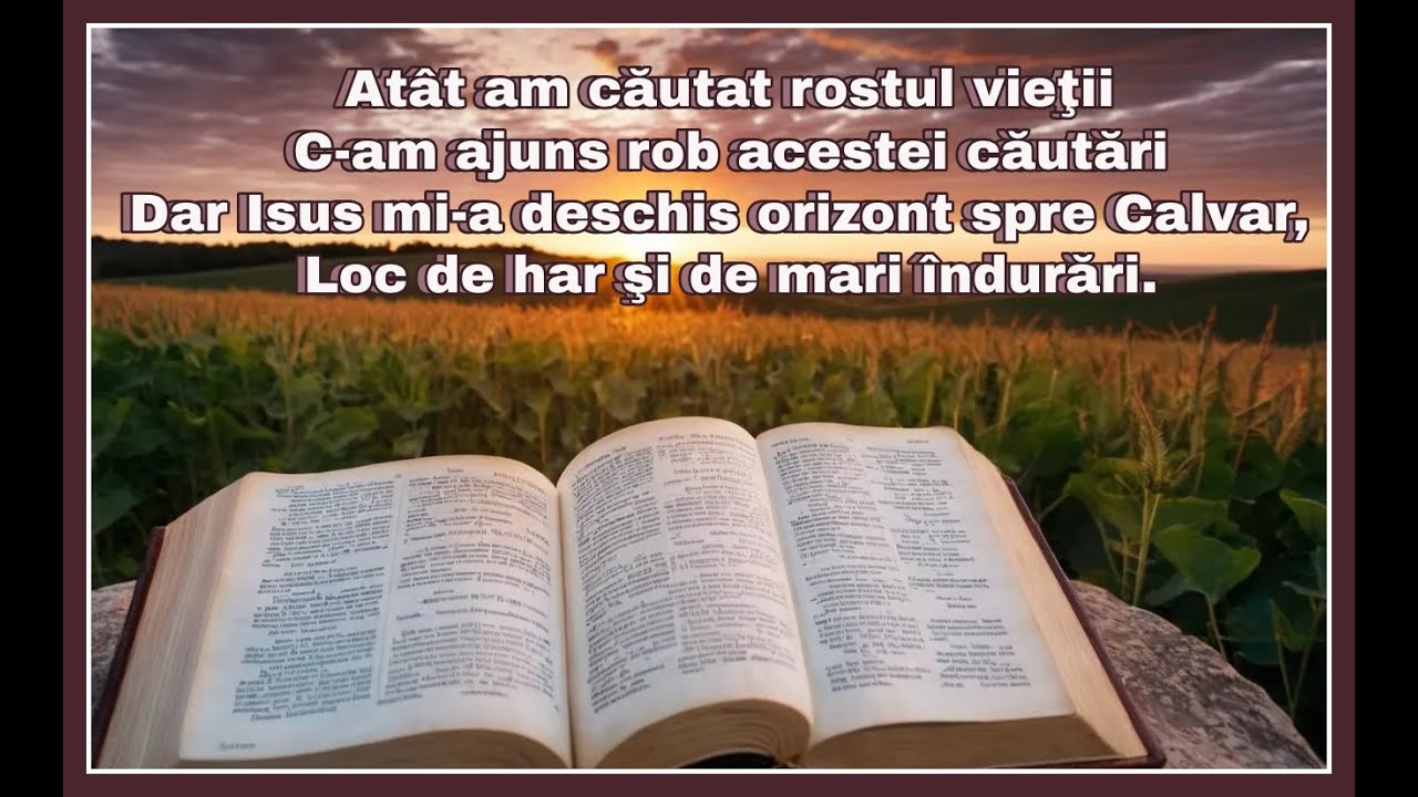 Atat am cautat rostul vietii - Negativ