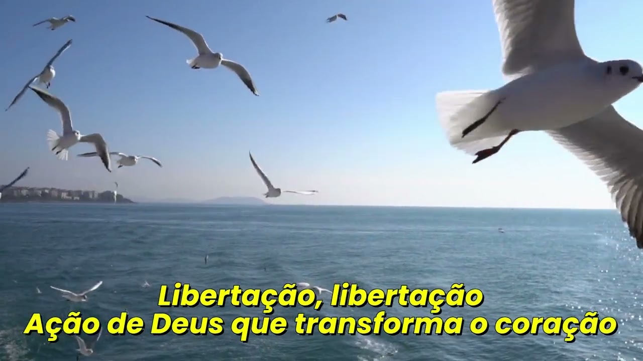 Libertação - Playback