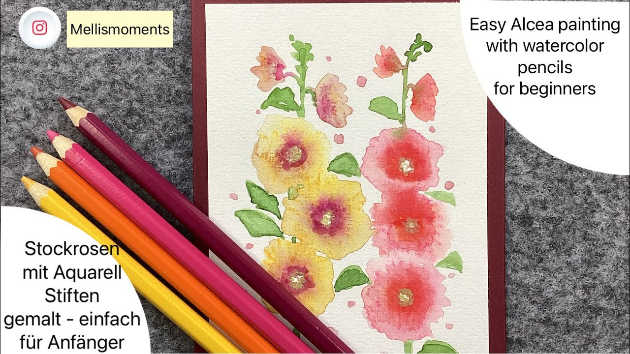 Stockrosen für Anfänger - Alcea for beginners