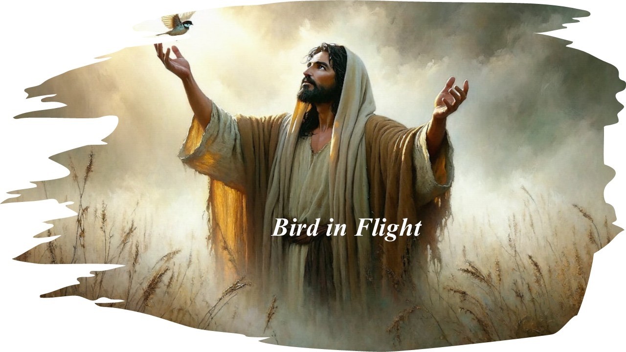 Bird in Flight