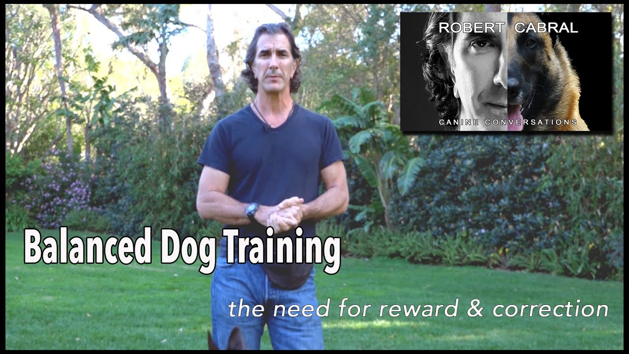 Balanced Dog Training and Corrections in Dog Training - Robert Cabral