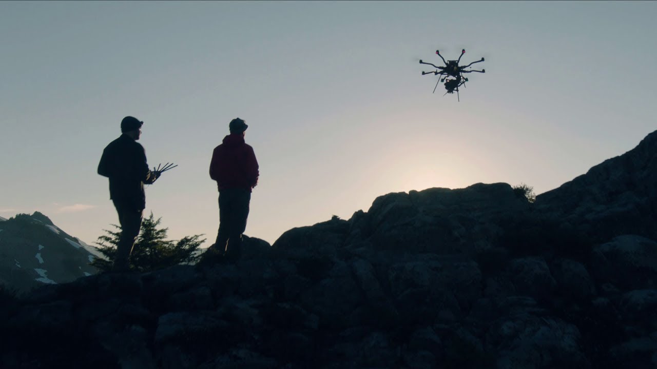 Freefly ALTA: Dependable