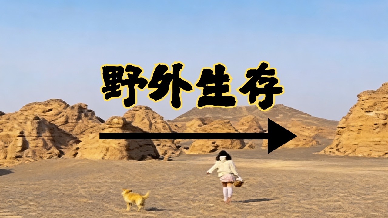 希游记正式出发，一路向西闯西域！风为路，梦为马，自由冒险不停歇 #流浪 #冒险 #生存