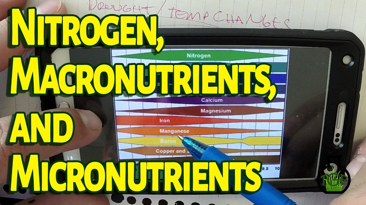 Nitrogen, Macronutrients, and Micronutrients - The Grass Factor