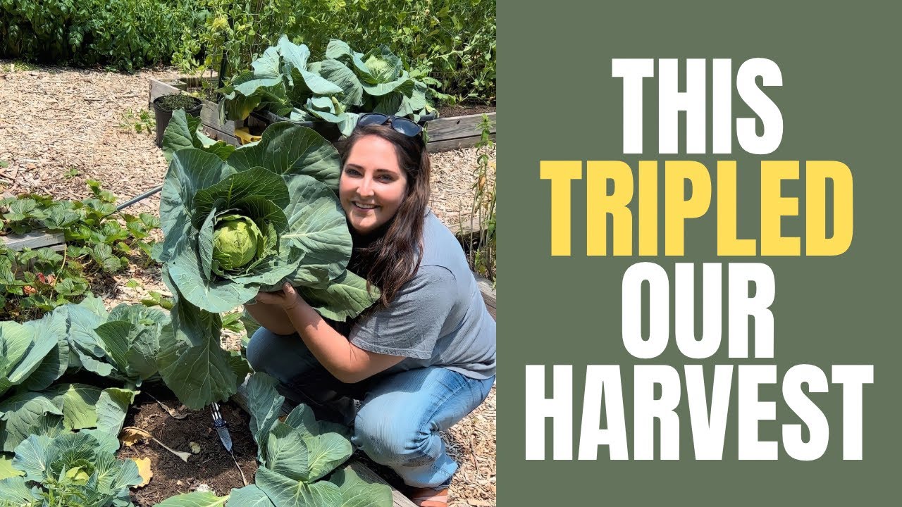 We Changed ONE Thing… and Tripled Our Garden Harvest