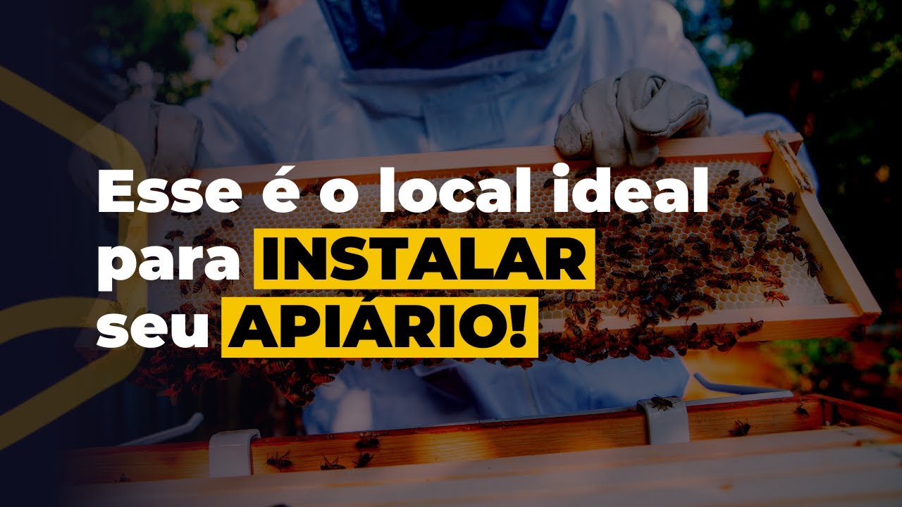 Apicultor iniciante, evite esses erros na hora de escolher o local de instalar seu api&aacute;rio