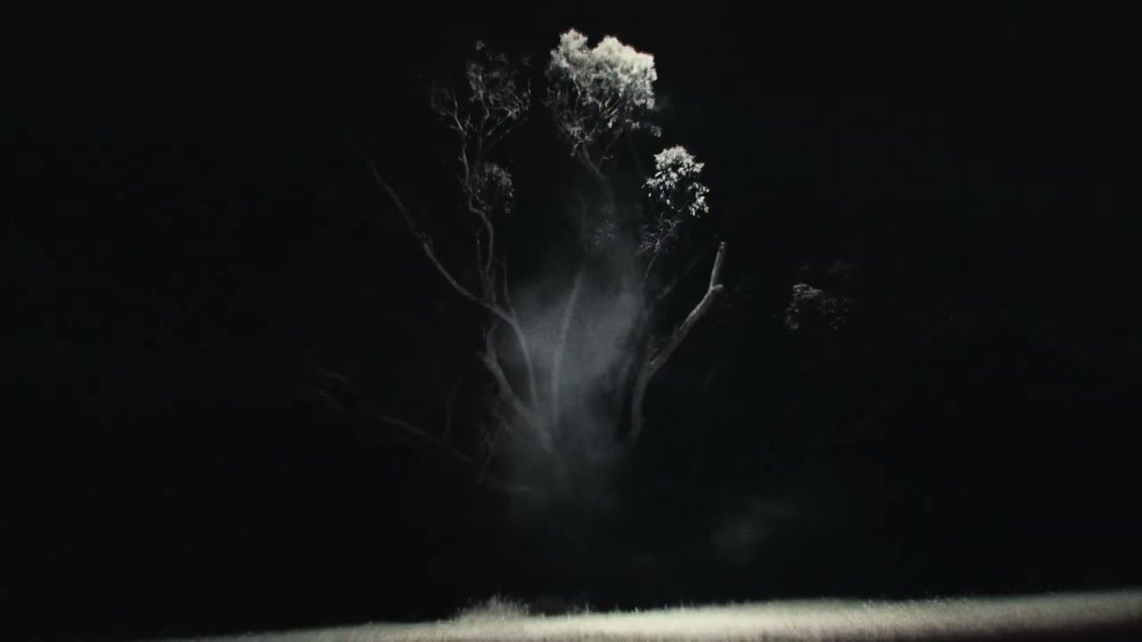INANIS YOAKE - Lost In The Twilight