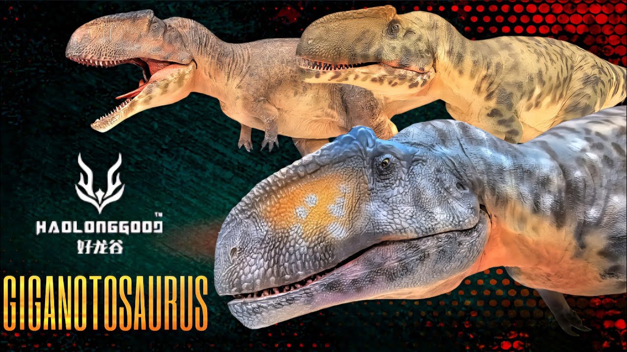 Обзор Haolonggood GIGANOTOSAURUS!!! Все 3 версии!!!