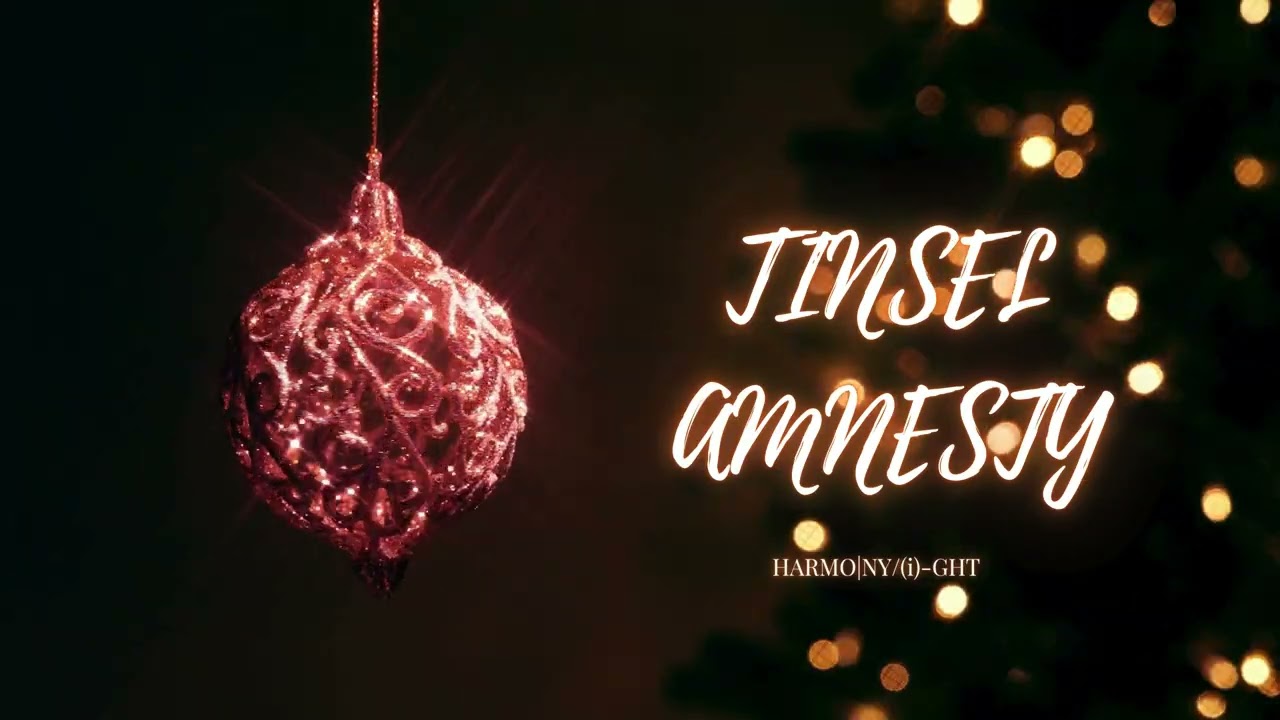 TINSEL AMNESTY | Taking Down the Tree with Good Vibes