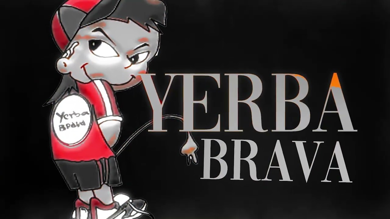 YERBA BRAVA Enganchado de Grandes Exitos en Vivo