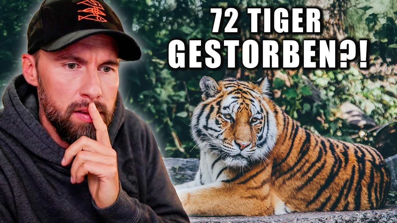 VIRUS im Tiger Kingdom – 72 Tiger sterben im thailändischen Zoo | Robert Marc Lehmann reagiert
