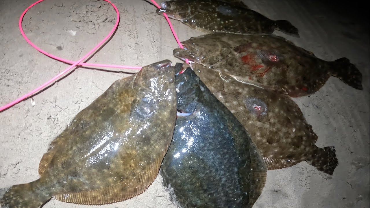 Texas Flounder Gigging in October