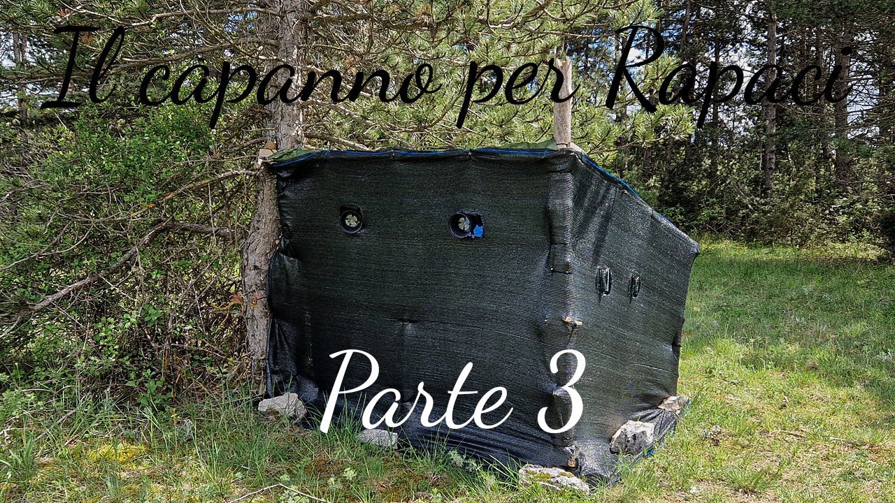 Fotografia Naturalistica - Il capanno per rapaci | Come avvicinare la Poiana | Parte 3\3
