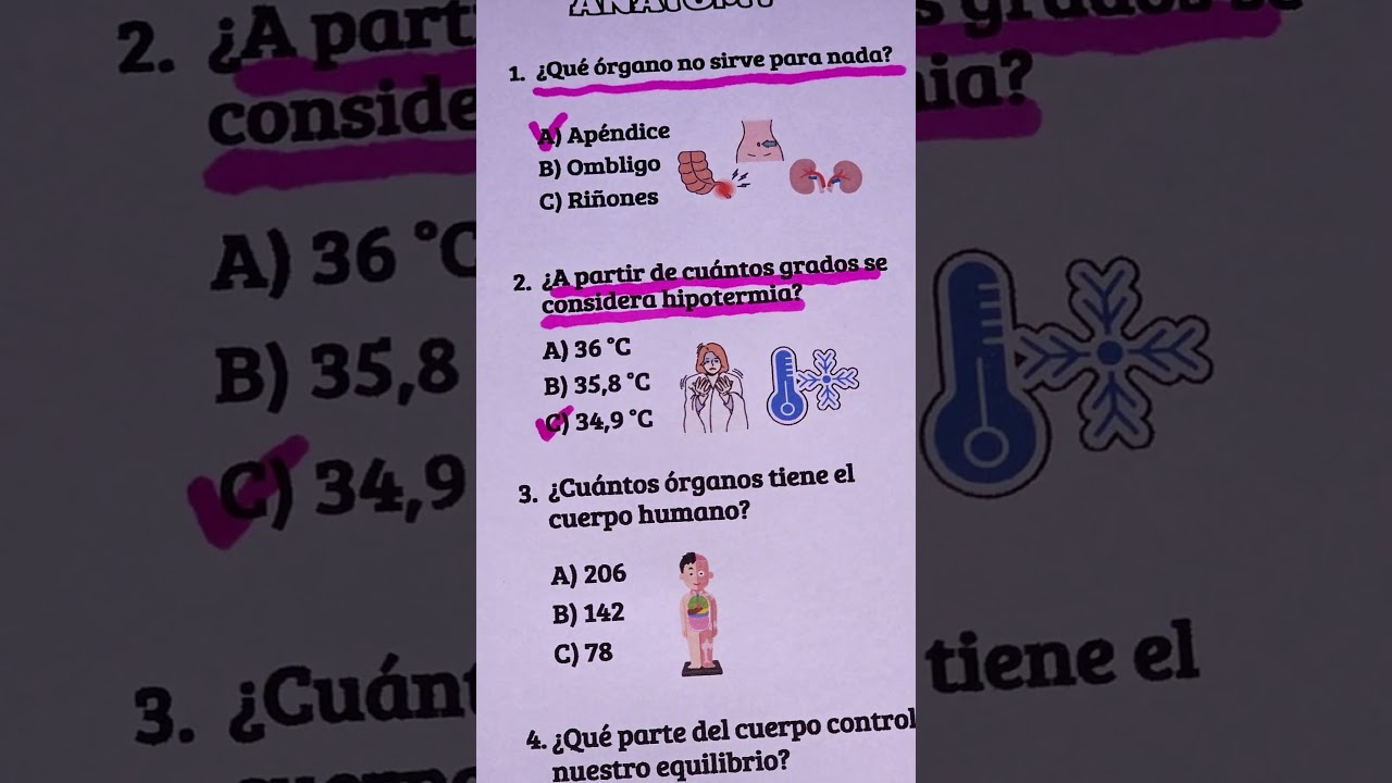 Quiz cuerpo humano #quiz #preguntas #anatomia #anatomy #medicine #trivia #quiztime #conocimiento