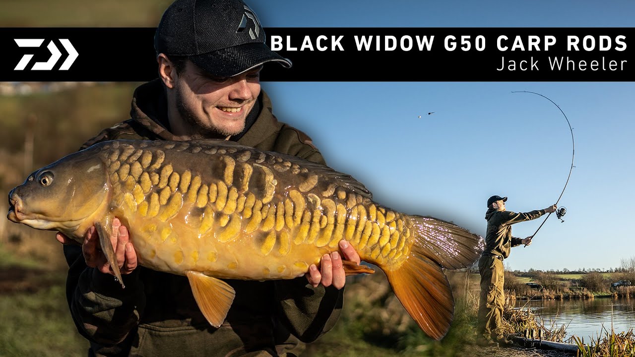 Daiwa Black Widow G50 Carp Rods | Jack Wheeler | Daiwa Carp
