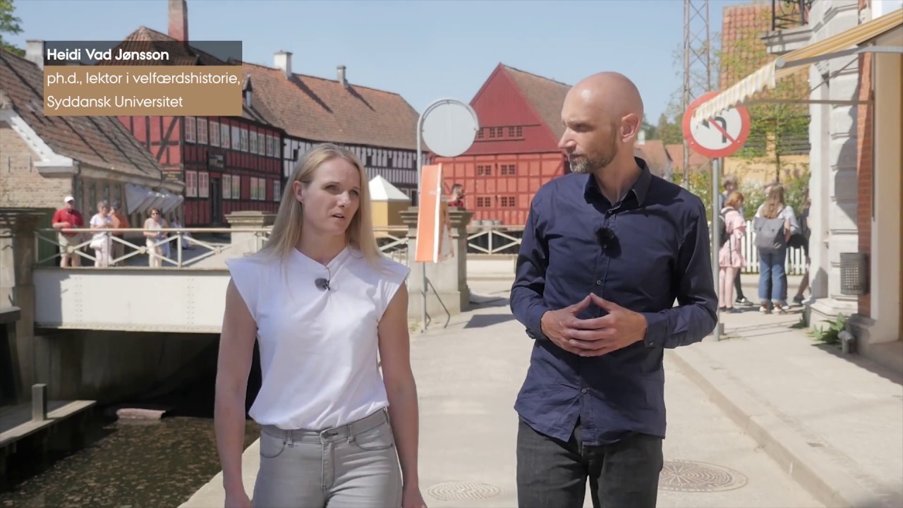 Indvandring i Velfærdsstaten