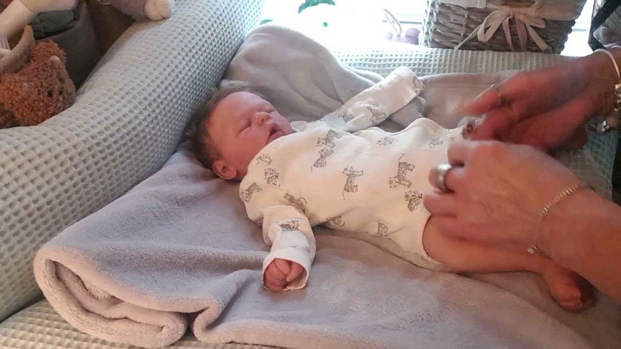 🌸🦭Schönen Sonntag 🌸🦭Nevio umziehen🦭