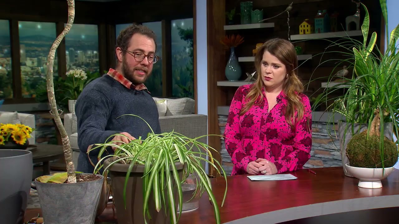 Master Gardener Ben Coleman-Fire Teaches How to Grow Pest Free Houseplants