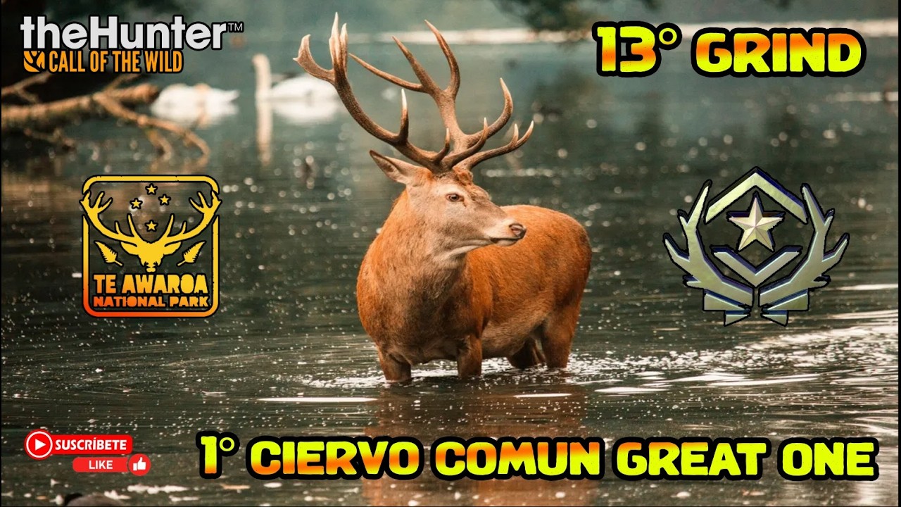 13ºGrind de 1º Ciervo Great one en Te Awaroa  #TheHunterCallOfTheWild #thehunter #Callofthewild #fyp
