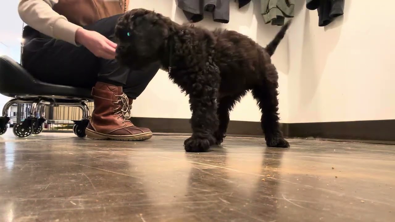 Oscar’s Intro To Sits & Downs 3.4.26
