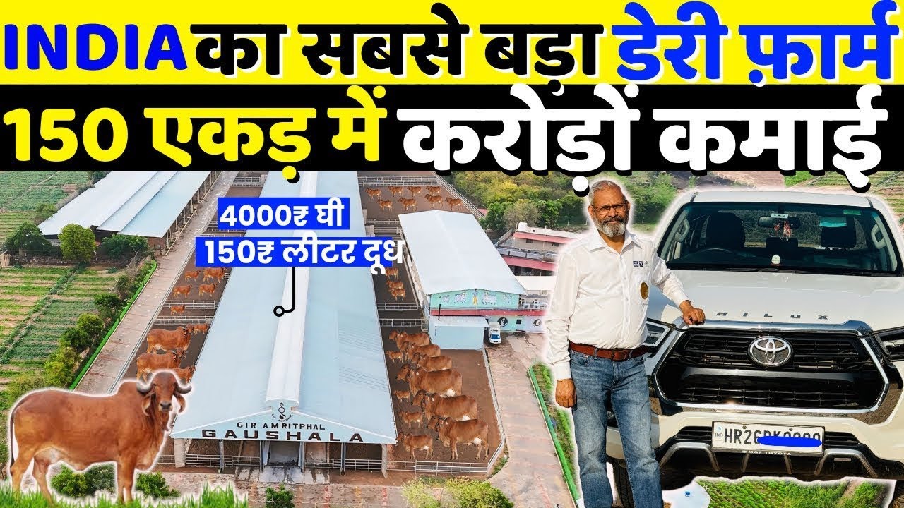 देश का सबसे बड़ा Hi-Tech Dairy Farm | Dairy Farm Business Plan | Dairy Farming |Profitable farming