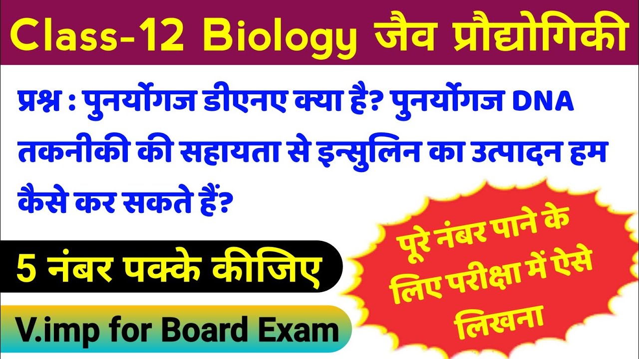 पुनर्योगज DNA क्या है? पुनर्योगज डीएनए तकनीकी की सहायता से इन्सुलिन का उत्पादन हम कैसे कर सकते हैं?
