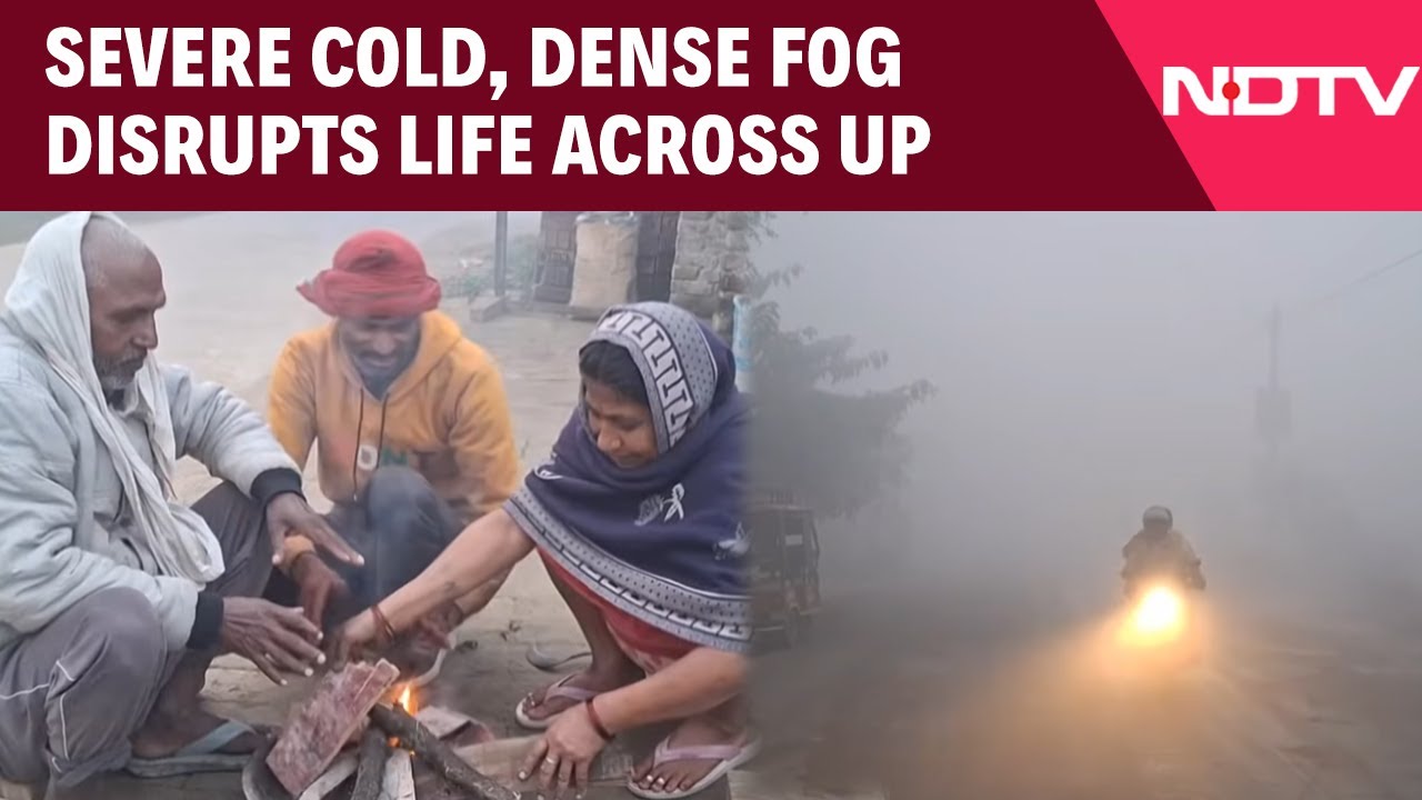 Uttar Pradesh News | Severe Cold And Dense Fog Disrupts Life Across Uttar Pradesh
