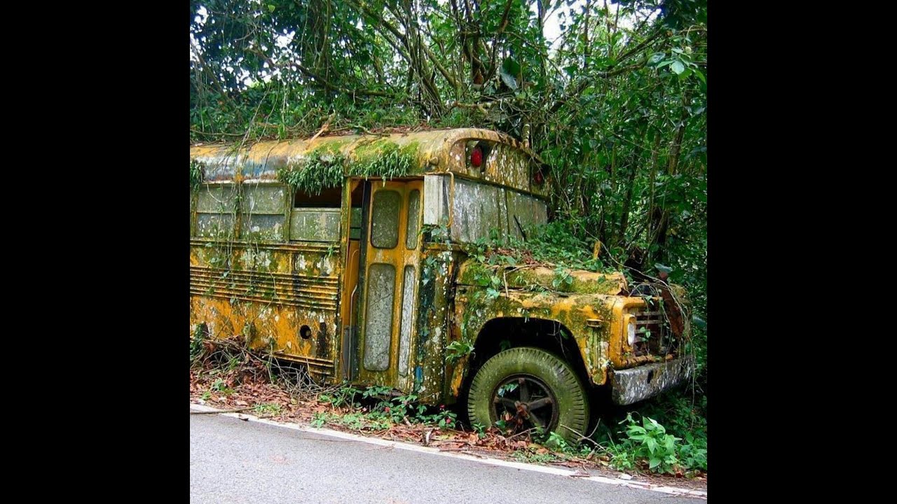 EXPLORING A ABANDONED SCHOOL BUS!!!