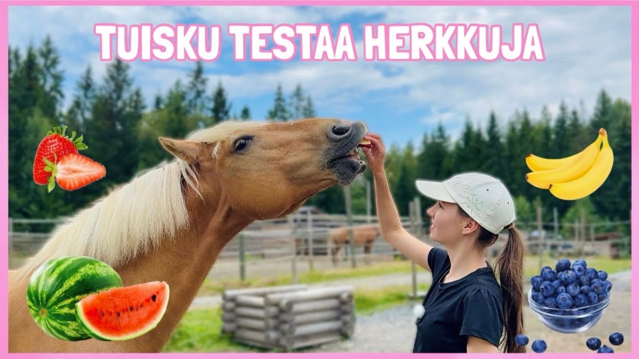 TUISKU TESTAA ERIKOISIA HERKKUJA🫢