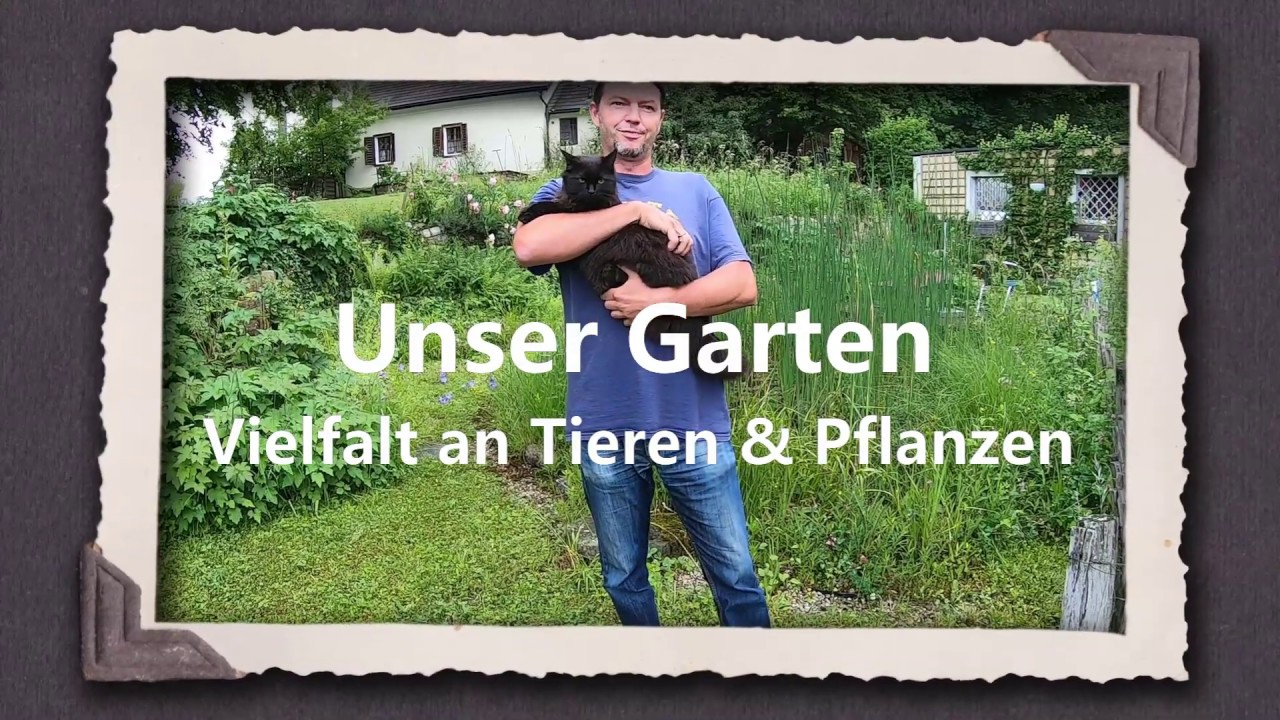 Unser Garten - Vielfalt an Tieren & Pflanzen