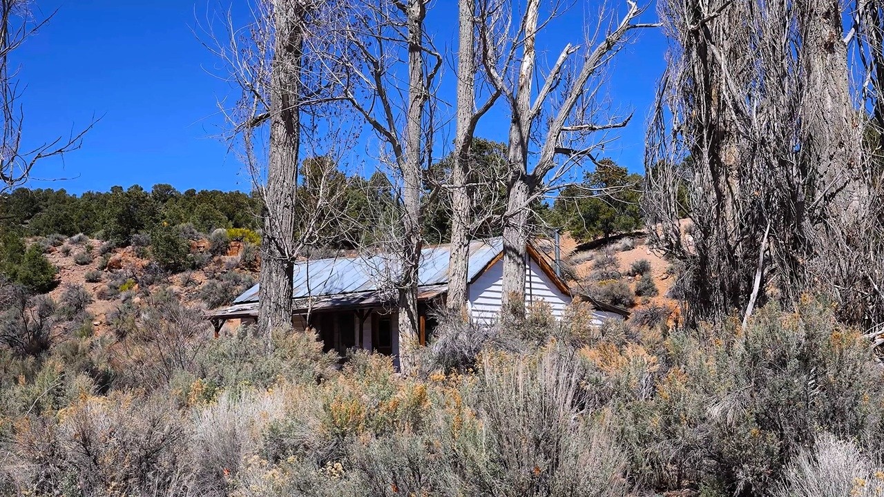 Didn't Expect To Find This In The Toiyabe National Forest...