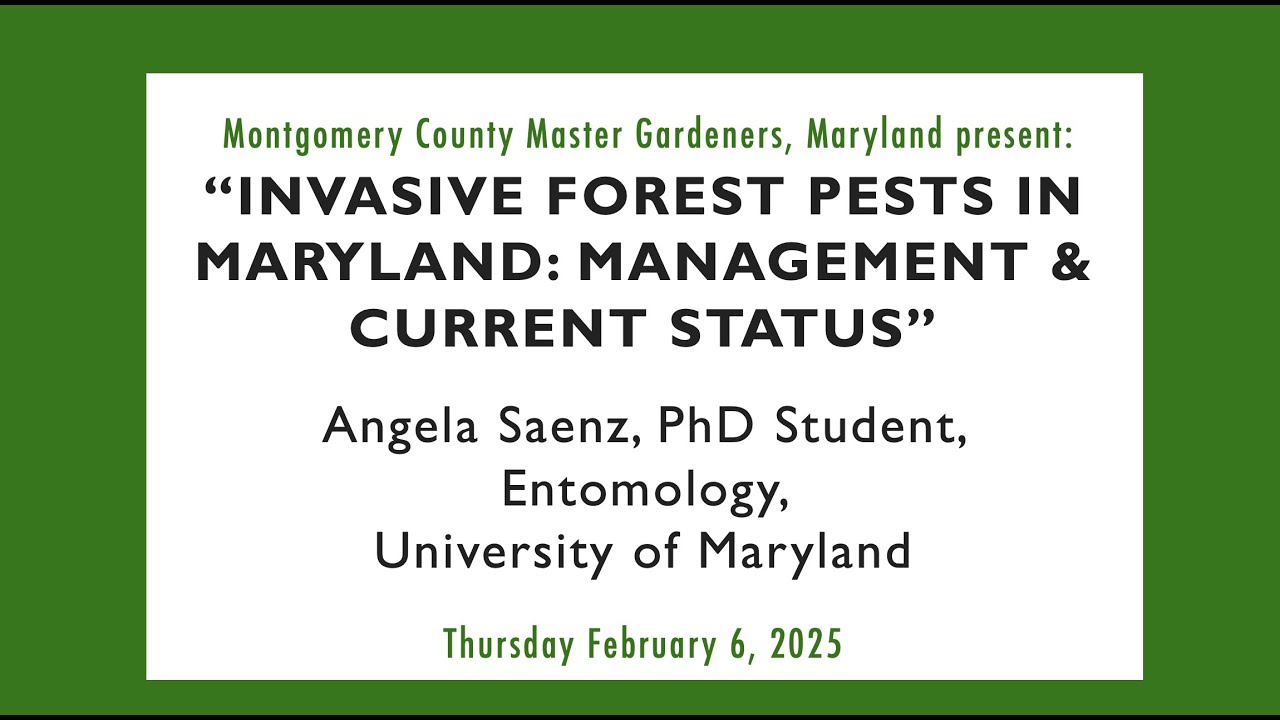 MCMG February 2025 Monthly Meeting