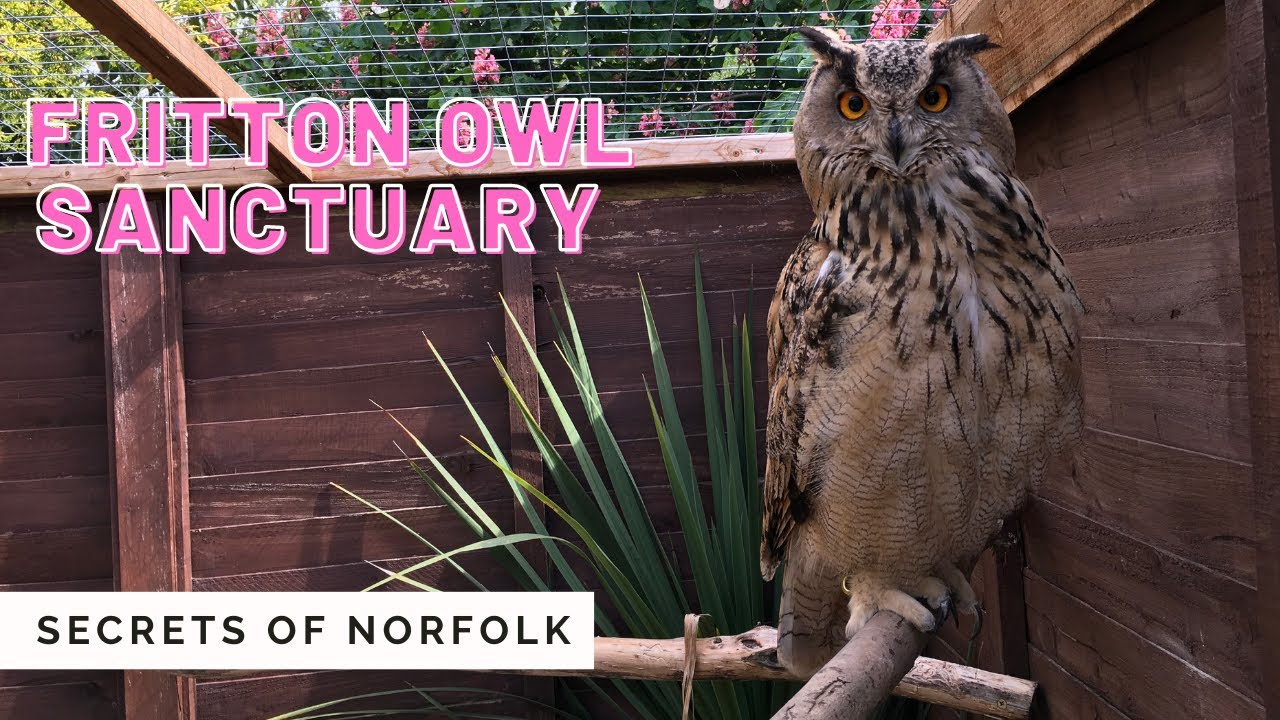 Fritton Owl Sanctuary