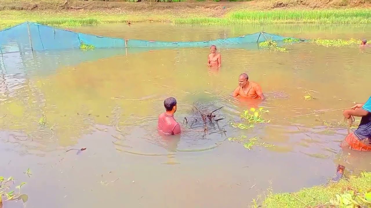 how to fish, how to fishing life,how to fishing bd, how to fishing in the river,how to fishing net