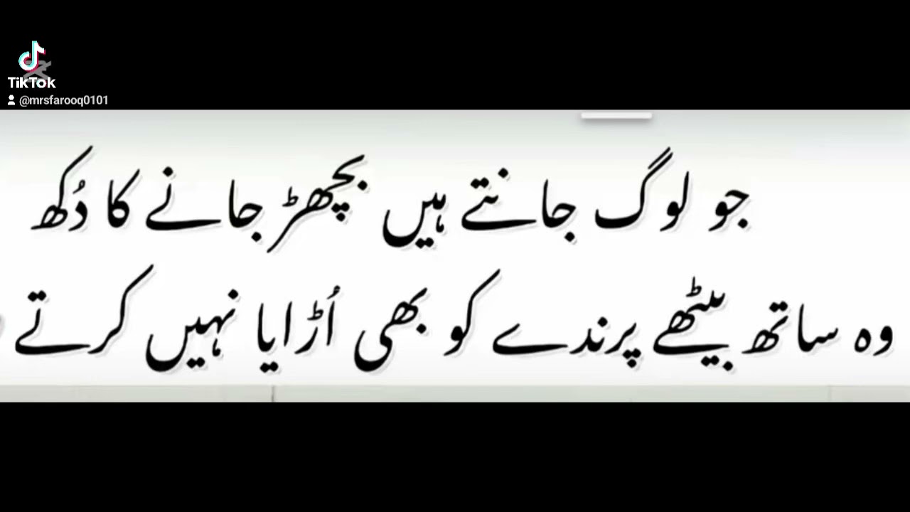 Golden word❤️❤️🌟Mumtaz Farooq