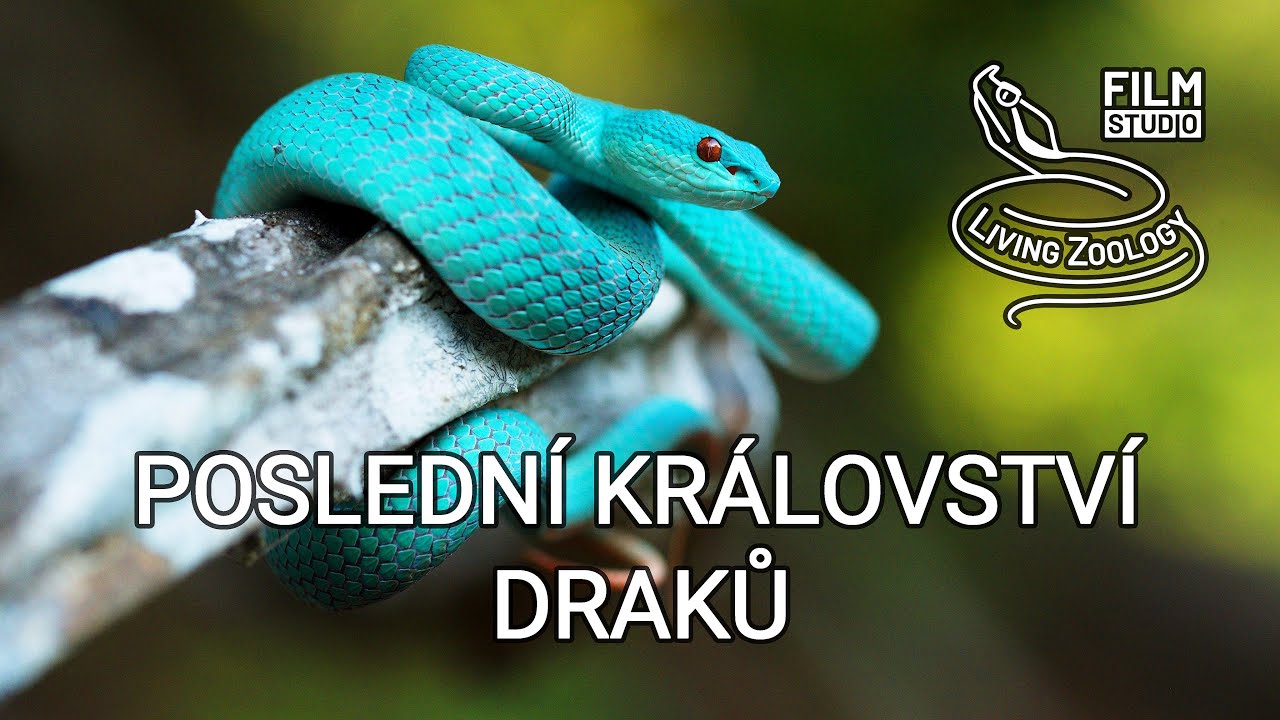 Poslední království draků (český dokumentární film studia Living Zoology)